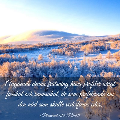 Picture 03 - 1 Petrusbrevet 1:10 SV1917 - Angående denna frälsning hava profeter ivrigt - Bible Verse Picture