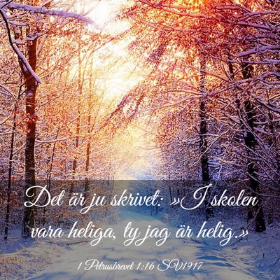 Picture 03 - 1 Petrusbrevet 1:16 SV1917 - Det är ju skrivet: »I skolen vara heliga, ty - Bible Verse Picture