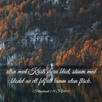 Picture 03 - 1 Petrusbrevet 1:19 SV1917 - utan med Kristi dyra blod, såsom med blodet av - Bible Verse Picture