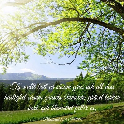 Picture 03 - 1 Petrusbrevet 1:24 SV1917 - Ty »allt kött är såsom gräs och all dess - Bible Verse Picture