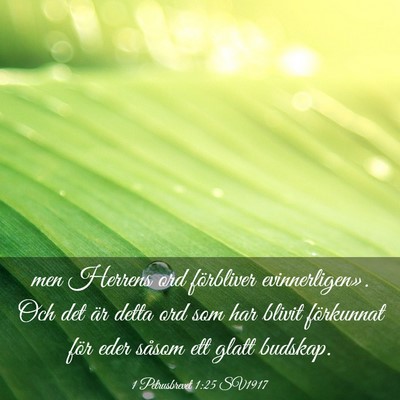 Picture 03 - 1 Petrusbrevet 1:25 SV1917 - men Herrens ord förbliver evinnerligen». Och - Bible Verse Picture
