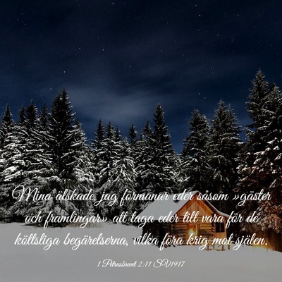 Picture 03 - 1 Petrusbrevet 2:11 SV1917 - Mina älskade, jag förmanar eder såsom - Bible Verse Picture