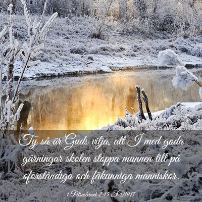 Picture 03 - 1 Petrusbrevet 2:15 SV1917 - Ty så är Guds vilja, att I med goda gärningar - Bible Verse Picture