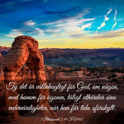 Picture 03 - 1 Petrusbrevet 2:19 SV1917 - Ty det är välbehagligt för Gud, om någon, med - Bible Verse Picture