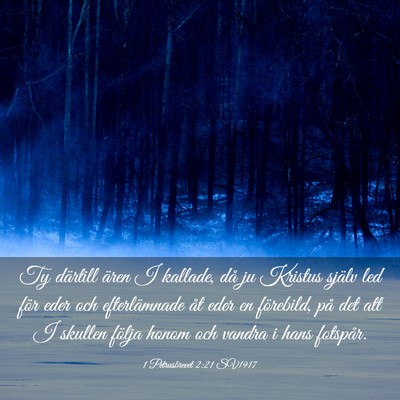 Picture 03 - 1 Petrusbrevet 2:21 SV1917 - Ty därtill ären I kallade, då ju Kristus - Bible Verse Picture