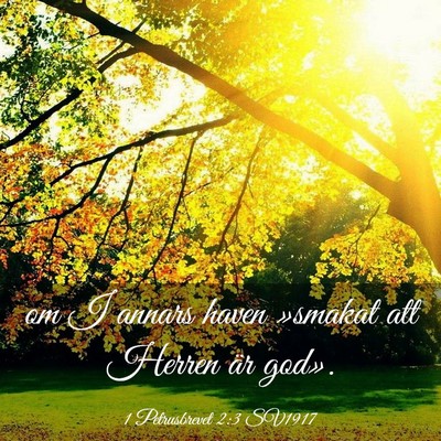 Picture 03 - 1 Petrusbrevet 2:3 SV1917 - om I annars haven »smakat att Herren är - Bible Verse Picture