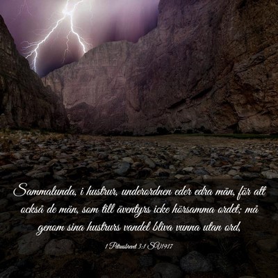 Picture 03 - 1 Petrusbrevet 3:1 SV1917 - Sammalunda, i hustrur, underordnen eder edra - Bible Verse Picture