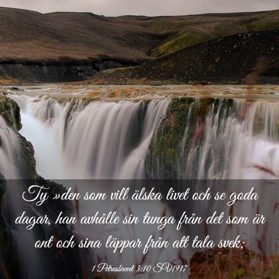 Picture 03 - 1 Petrusbrevet 3:10 SV1917 - Ty »den som vill älska livet och se goda dagar, - Bible Verse Picture