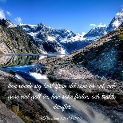 Picture 03 - 1 Petrusbrevet 3:11 SV1917 - han vände sig bort ifrån det som är ont, och - Bible Verse Picture