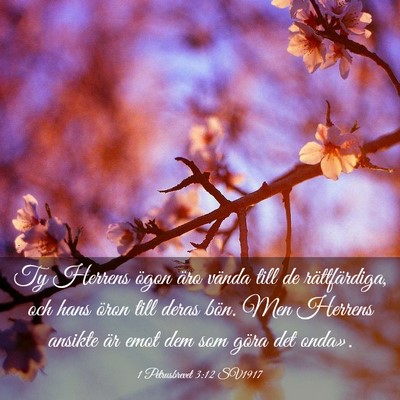 Picture 03 - 1 Petrusbrevet 3:12 SV1917 - Ty Herrens ögon äro vända till de - Bible Verse Picture