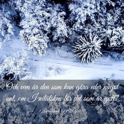 Picture 03 - 1 Petrusbrevet 3:13 SV1917 - Och vem är den som kan göra eder något ont, om - Bible Verse Picture