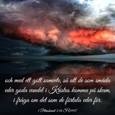 Picture 03 - 1 Petrusbrevet 3:16 SV1917 - och med ett gott samvete, så att de som smäda - Bible Verse Picture