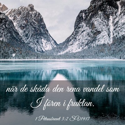 Picture 03 - 1 Petrusbrevet 3:2 SV1917 - när de skåda den rena vandel som I fören i - Bible Verse Picture