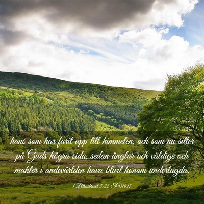 Picture 03 - 1 Petrusbrevet 3:22 SV1917 - hans som har farit upp till himmelen, och som nu - Bible Verse Picture