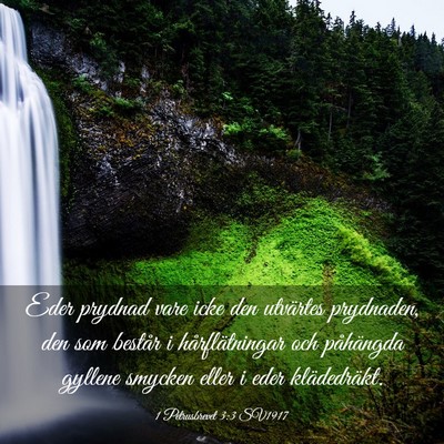 Picture 03 - 1 Petrusbrevet 3:3 SV1917 - Eder prydnad vare icke den utvärtes prydnaden, - Bible Verse Picture