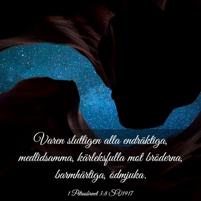 Picture 03 - 1 Petrusbrevet 3:8 SV1917 - Varen slutligen alla endräktiga, medlidsamma, - Bible Verse Picture