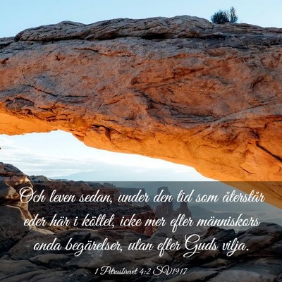 Picture 03 - 1 Petrusbrevet 4:2 SV1917 - Och leven sedan, under den tid som återstår - Bible Verse Picture