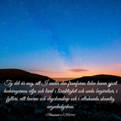 Picture 03 - 1 Petrusbrevet 4:3 SV1917 - Ty det är nog, att I under den framfarna tiden - Bible Verse Picture