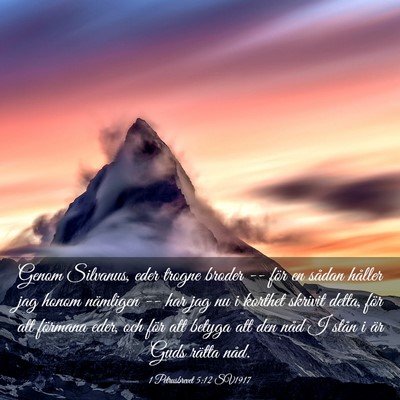 Picture 03 - 1 Petrusbrevet 5:12 SV1917 - Genom Silvanus, eder trogne broder -- för en - Bible Verse Picture
