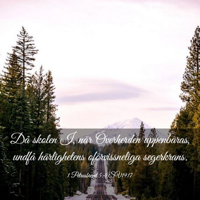 Picture 03 - 1 Petrusbrevet 5:4 SV1917 - Då skolen I, när Överherden uppenbaras, undfå - Bible Verse Picture