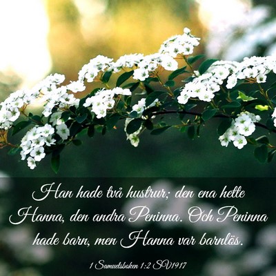 Picture 03 - 1 Samuelsboken 1:2 SV1917 - Han hade två hustrur; den ena hette Hanna, den - Bible Verse Picture