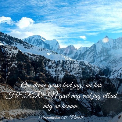 Picture 03 - 1 Samuelsboken 1:27 SV1917 - Om denne gosse bad jag; nu har HERREN givit mig - Bible Verse Picture