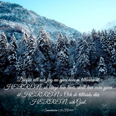 Picture 03 - 1 Samuelsboken 1:28 SV1917 - Därför vill ock jag nu giva honom tillbaka åt - Bible Verse Picture