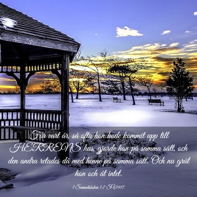 Picture 03 - 1 Samuelsboken 1:7 SV1917 - För vart år, så ofta hon hade kommit upp till - Bible Verse Picture