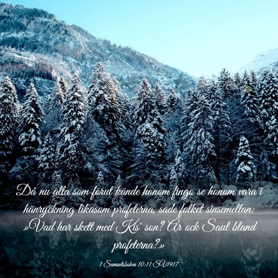 Picture 03 - 1 Samuelsboken 10:11 SV1917 - Då nu alla som förut kände honom fingo se - Bible Verse Picture