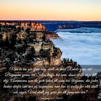 Picture 03 - 1 Samuelsboken 10:2 SV1917 - När du nu går ifrån mig, skall du invid Rakels - Bible Verse Picture