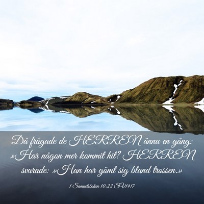 Picture 03 - 1 Samuelsboken 10:22 SV1917 - Då frågade de HERREN ännu en gång: »Har - Bible Verse Picture