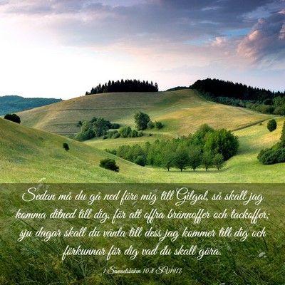 Picture 03 - 1 Samuelsboken 10:8 SV1917 - Sedan må du gå ned före mig till Gilgal, så - Bible Verse Picture