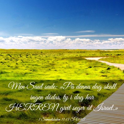Picture 03 - 1 Samuelsboken 11:13 SV1917 - Men Saul sade: »På denna dag skall ingen - Bible Verse Picture