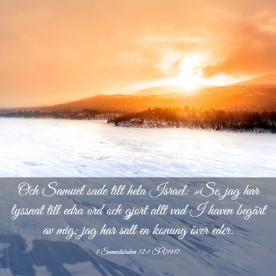 Picture 03 - 1 Samuelsboken 12:1 SV1917 - Och Samuel sade till hela Israel: »Se, jag har - Bible Verse Picture