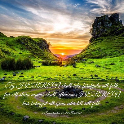 Picture 03 - 1 Samuelsboken 12:22 SV1917 - Ty HERREN skall icke förskjuta sitt folk, för - Bible Verse Picture