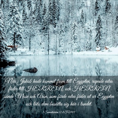 Picture 03 - 1 Samuelsboken 12:8 SV1917 - När Jakob hade kommit fram till Egypten, ropade - Bible Verse Picture