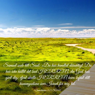 Picture 03 - 1 Samuelsboken 13:13 SV1917 - Samuel sade till Saul: »Du har handlat - Bible Verse Picture