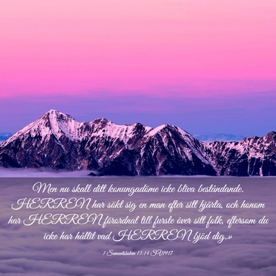 Picture 03 - 1 Samuelsboken 13:14 SV1917 - Men nu skall ditt konungadöme icke bliva - Bible Verse Picture