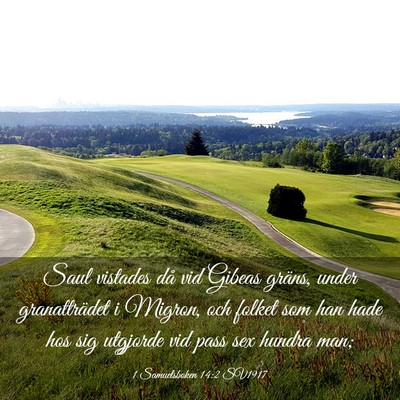 Picture 03 - 1 Samuelsboken 14:2 SV1917 - Saul vistades då vid Gibeas gräns, under - Bible Verse Picture