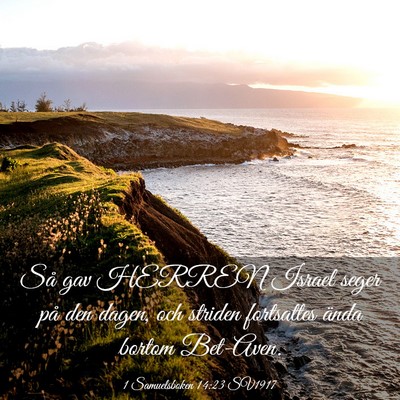 Picture 03 - 1 Samuelsboken 14:23 SV1917 - Så gav HERREN Israel seger på den dagen, och - Bible Verse Picture