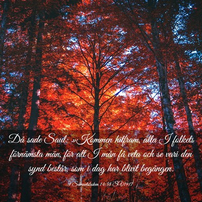 Picture 03 - 1 Samuelsboken 14:38 SV1917 - Då sade Saul: »Kommen hitfram, alla I folkets - Bible Verse Picture