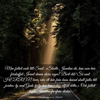 Picture 03 - 1 Samuelsboken 14:45 SV1917 - Men folket sade till Saul: »Skulle Jonatan dö, - Bible Verse Picture