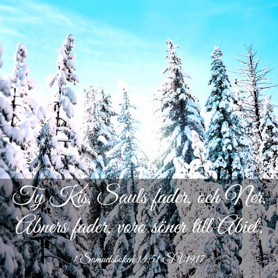 Picture 03 - 1 Samuelsboken 14:51 SV1917 - Ty Kis, Sauls fader, och Ner, Abners fader, voro - Bible Verse Picture