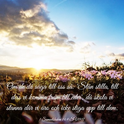 Picture 03 - 1 Samuelsboken 14:9 SV1917 - Om de då säga till oss så: 'Stån stilla, till - Bible Verse Picture