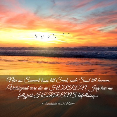Picture 03 - 1 Samuelsboken 15:13 SV1917 - När nu Samuel kom till Saul, sade Saul till - Bible Verse Picture