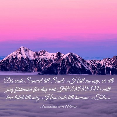 Picture 03 - 1 Samuelsboken 15:16 SV1917 - Då sade Samuel till Saul: »Håll nu upp, så - Bible Verse Picture