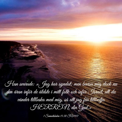 Picture 03 - 1 Samuelsboken 15:30 SV1917 - Han svarade: »Jag har syndat; men bevisa mig - Bible Verse Picture