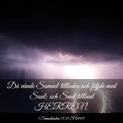 Picture 03 - 1 Samuelsboken 15:31 SV1917 - Då vände Samuel tillbaka och följde med Saul; - Bible Verse Picture