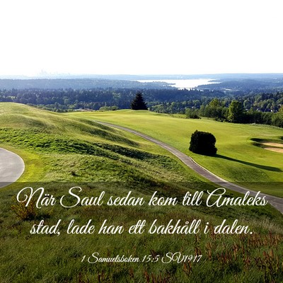 Picture 03 - 1 Samuelsboken 15:5 SV1917 - När Saul sedan kom till Amaleks stad, lade han - Bible Verse Picture