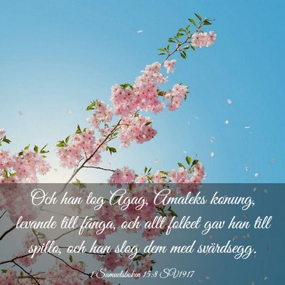 Picture 03 - 1 Samuelsboken 15:8 SV1917 - Och han tog Agag, Amaleks konung, levande till - Bible Verse Picture